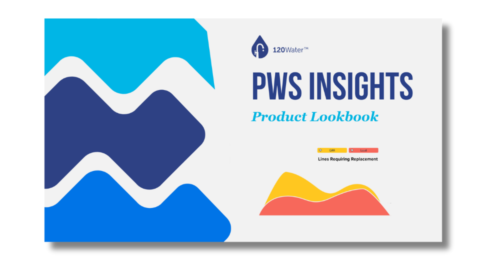 PWS Insights Lookbook